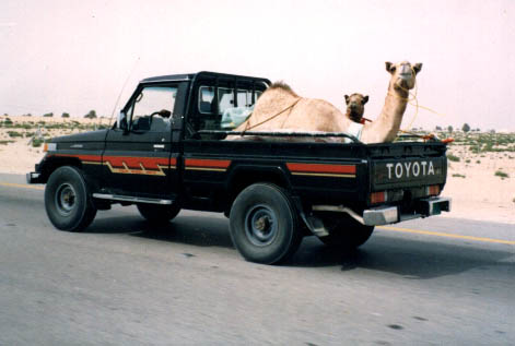 Kuwaitis return home