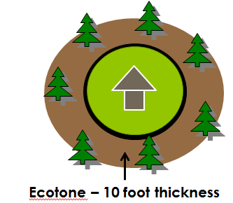 Tick robot clears ticks of the ecotone